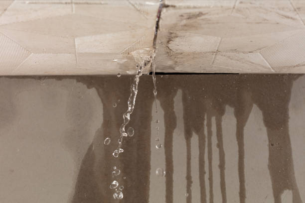 Professional Structural Drying technician working in Riga, MI